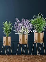 Plant Pot Gold