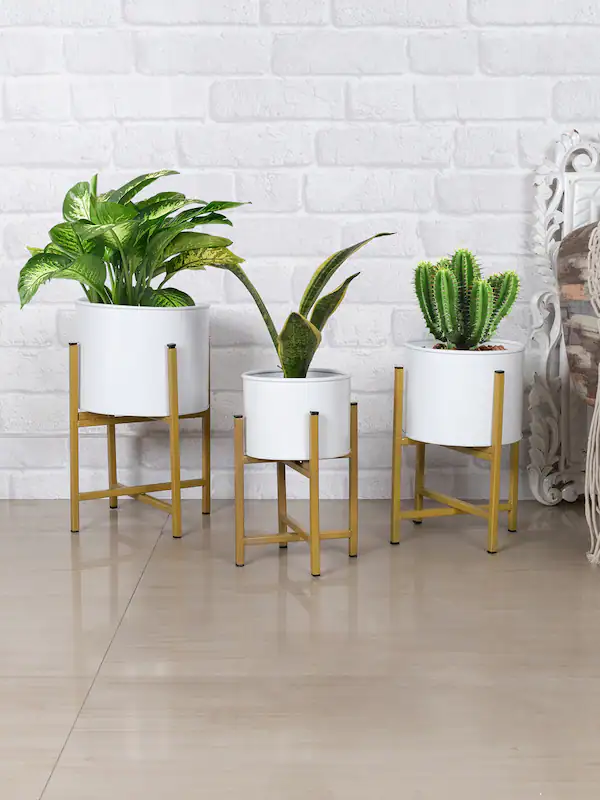 Plant Pot White